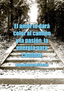 El amor le dará color al camino y la pasión, la energía para caminar