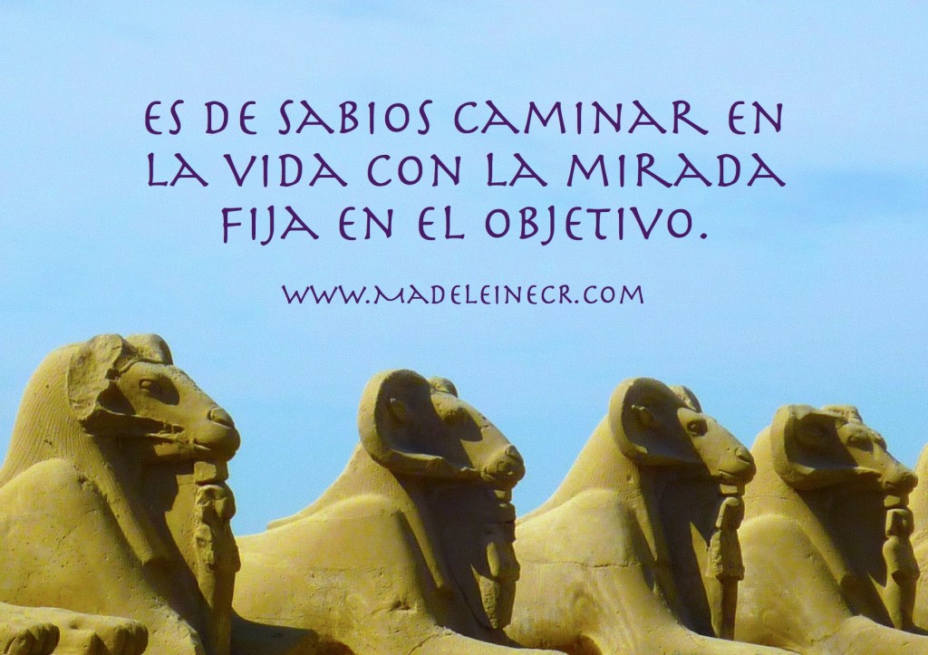 Es de sabios caminar en la vida con la mirada fija en el objetivo