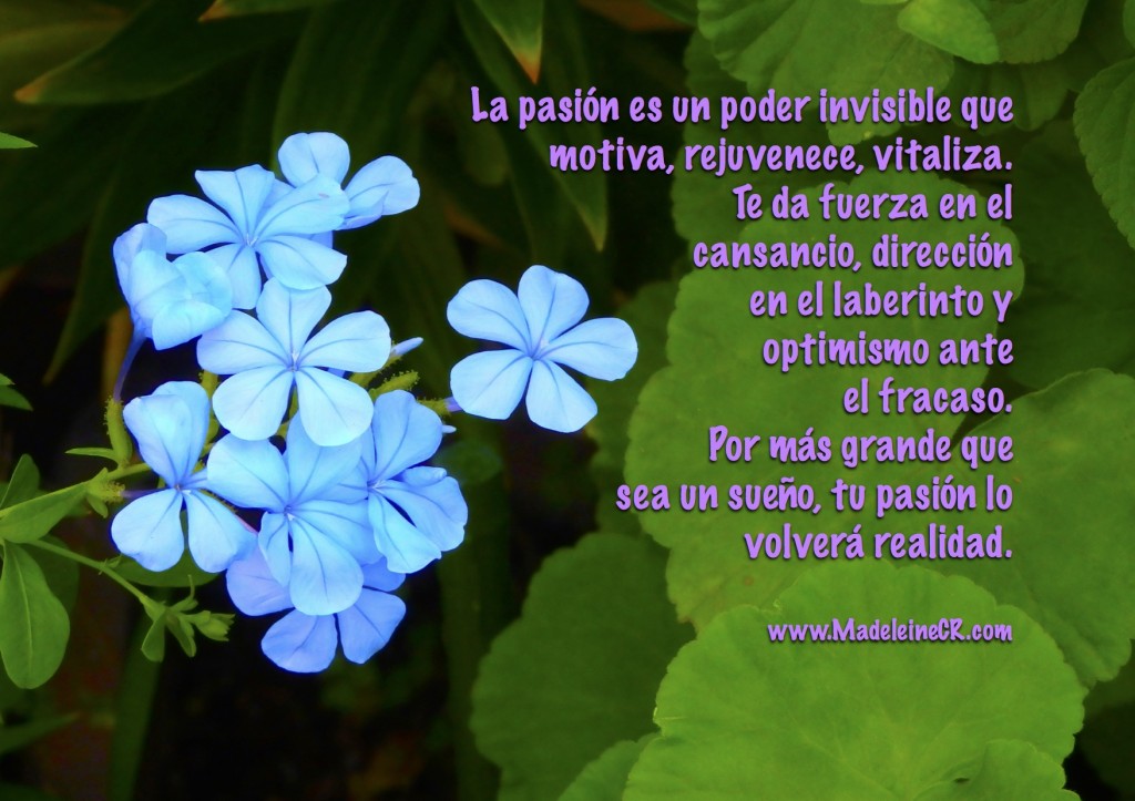 La pasión es un poder invisible que motiva, rejuvenece, vitaliza.