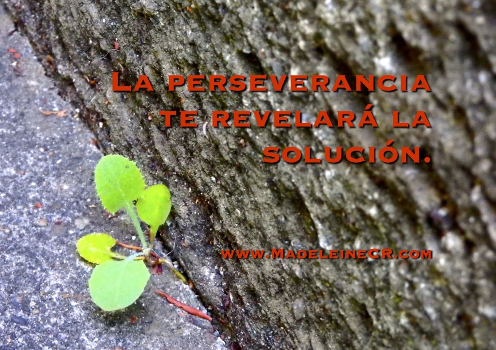 La perseverancia te revelará la solución