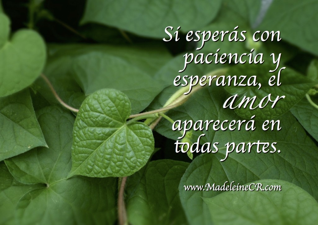 Si esperás con paciencia y esperanza, el amor aparecerá en todas partes